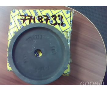 7718733 KASNAK                     SXU 