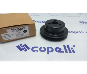 {Katagori} / (40103)DEVIRDAIM KASNAGIDKS (DOGAN KARTAL SAHIN) (4378661) [NPR-40103] 