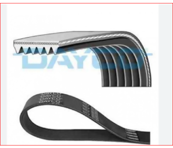 {Katagori} / KANALLI KAYIS PARTNER DW8 DAY-6PK1685 6PK1683 [DAY6PK1685] 