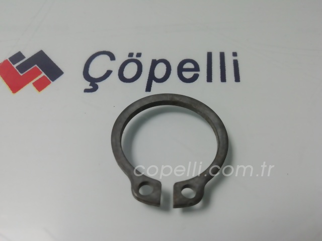 4315450 SEGMAN                     2.0 