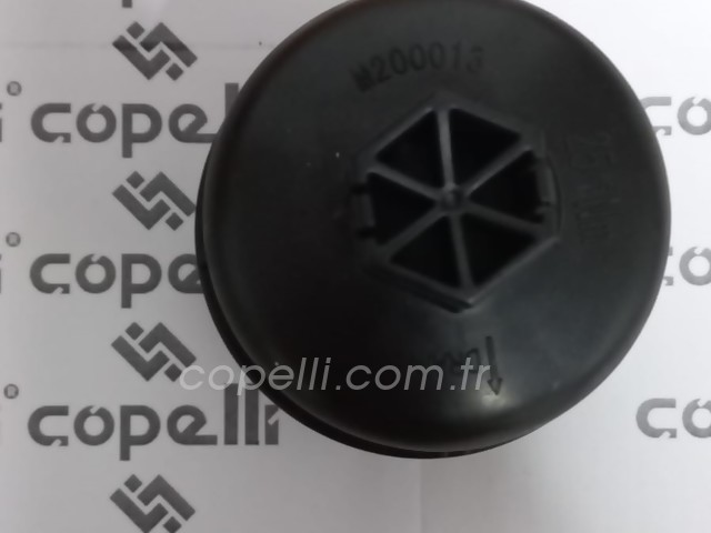 55197220M KAPAK YAG FILTRE M200013 1.3   DB/PO 