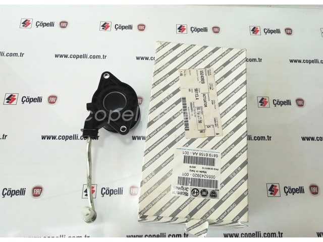 55243920 AKTIVATOR                  LN (LINEA) 