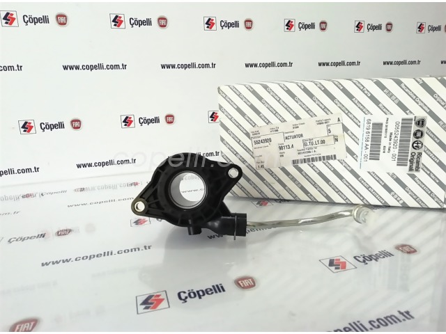 55243920 AKTIVATOR                  LN (LINEA) 