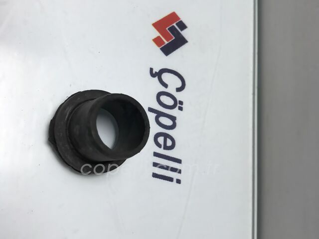 4336457 BURC,DEBRIYAJ TELIDKS (DOGAN KARTAL SAHIN) ( KUS GRUBU ) 