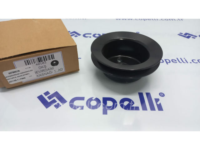 4378661N (40103)DEVIRDAIM KASNAGIDKS (DOGAN KARTAL SAHIN) (4378661) 