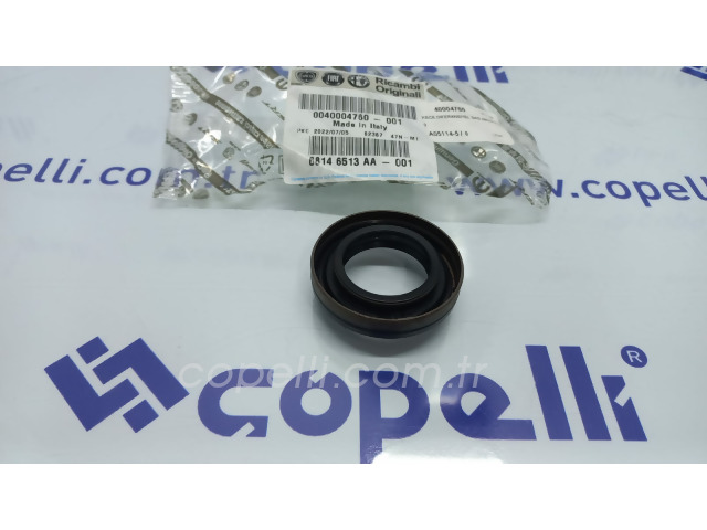 40004760 KECE,DIFERANSIYEL SAG MR/GTP/2.0 