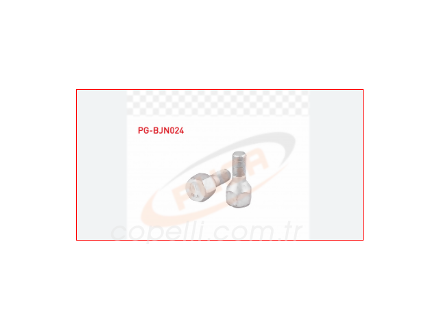 1345713080PG (PG-BJN024)BIJON CIVATASI 14mm DUCATO 