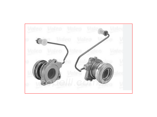 55558917V (810226)RULMAN,DEBRIYAJ 810034 LN (LINEA)/DLT (LN) 