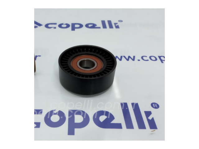 55258443RF RULMAN,GERGI TEK 95892 PN (PUNTO) [FKG95892] 
